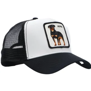 Goorin Bros Donna Cappellini | Cappellini-Animal baseball cap Nero Alpha