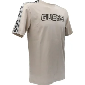 Guess Uomo T-Shirt-ARLO T-SHIRT Beige