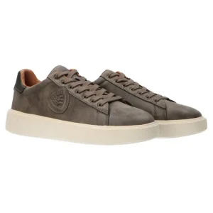 Blauer USA Uomo Sneakers-Buck01 Verde/taupe